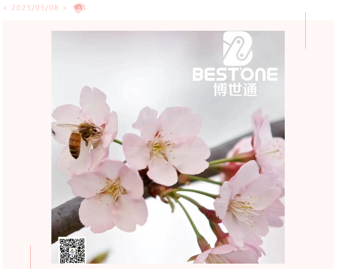 博世通（青島）智能裝備有限公司祝大家女神節(jié)快樂